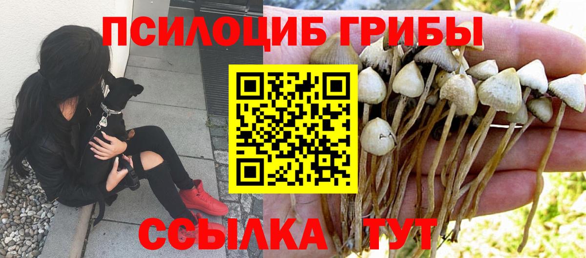 Галлюциногенные грибы мухоморы Ачинск