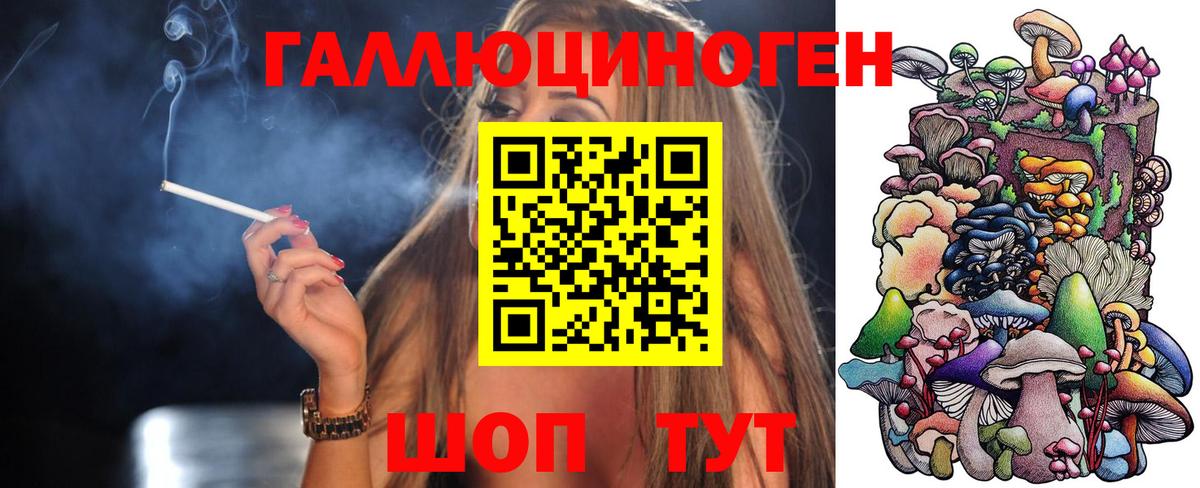 Псилоцибиновые грибы прущие грибы Ачинск