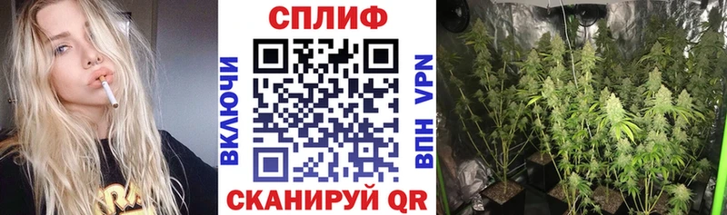 наркота  darknet наркотические препараты  Конопля SATIVA & INDICA  Ачинск 
